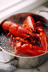 Lobster Roll 1
